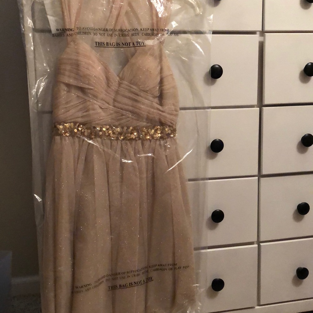 Homecoming/Prom Dress